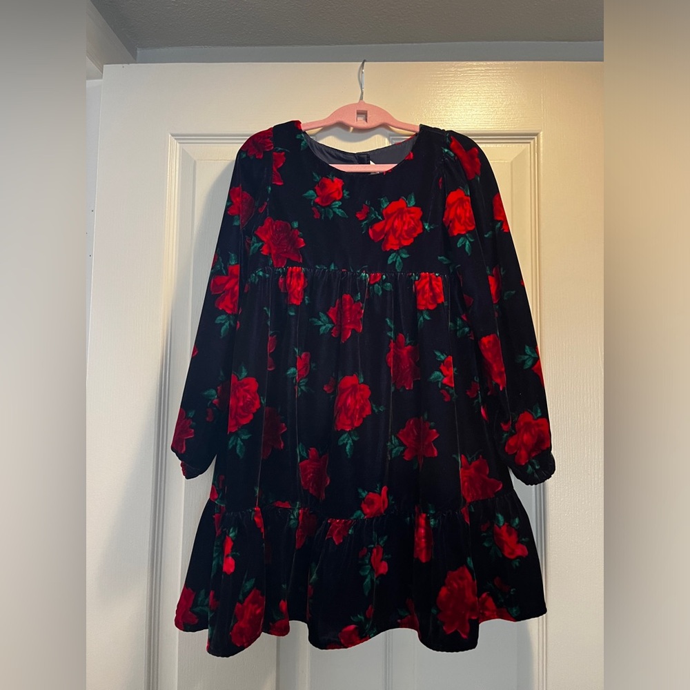 Janie and Jack Velvet Floral Dress